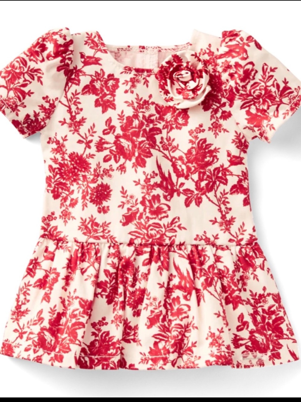 NWT American Girl x Janie and Jack Red Floral Peplum Dress with Rosette